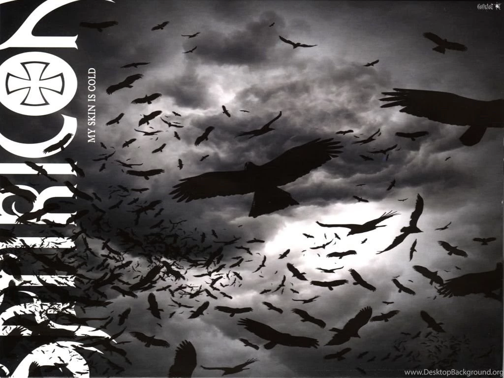 SATYRICON   BANDSWALLPAPERS