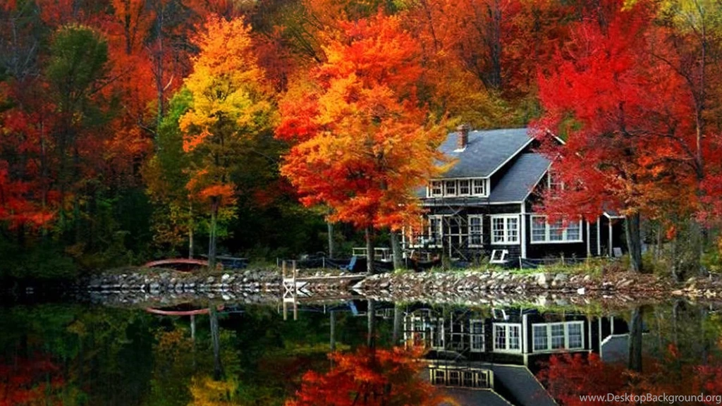 Autumn Tree HD Wallpapers