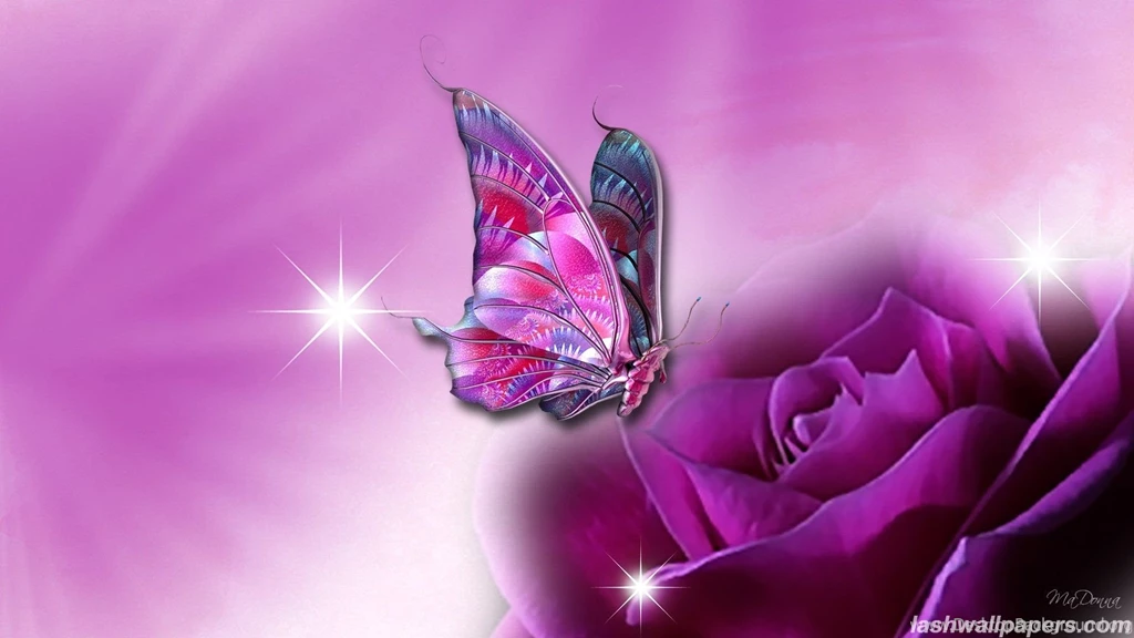 Butterfly Wallpapers Free Download HD Wallpapers Pretty