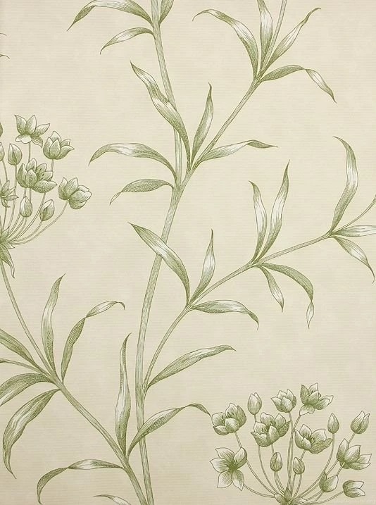 Agapanthus Wallpapers By Zoffany