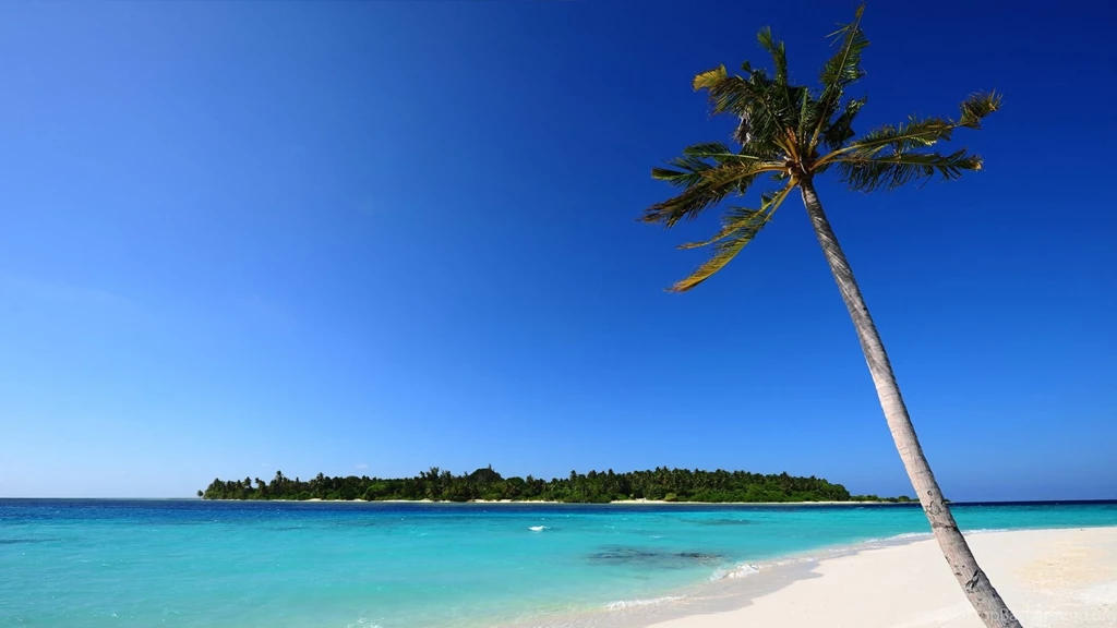 1920x1080 Beach Palm White Sand Wallpapers