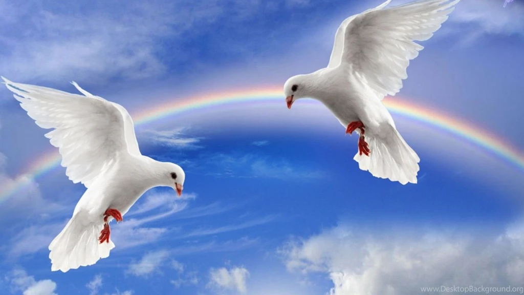 Wallpapers Of Natural Beauty   Wallpapers HD Fine