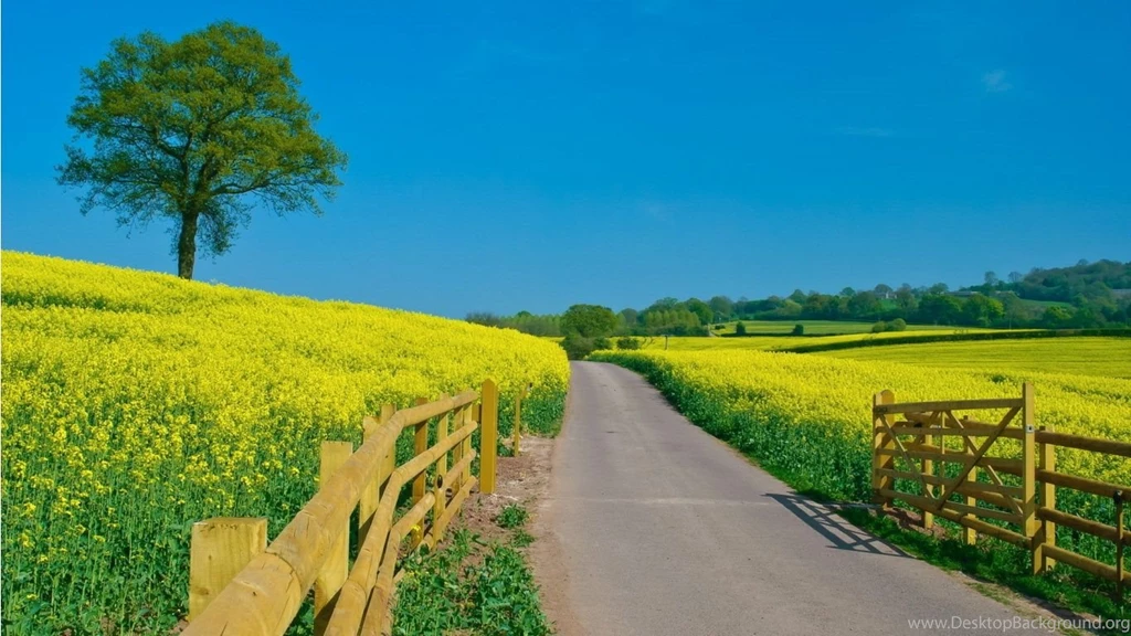 Beautiful Scenery Wallpapers V7E Savewallpaper.com