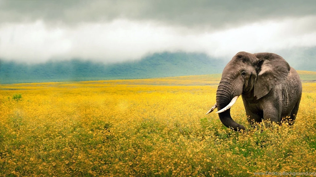Beautiful Scenery 2016 Image Josh003 – Wallpaperjosh