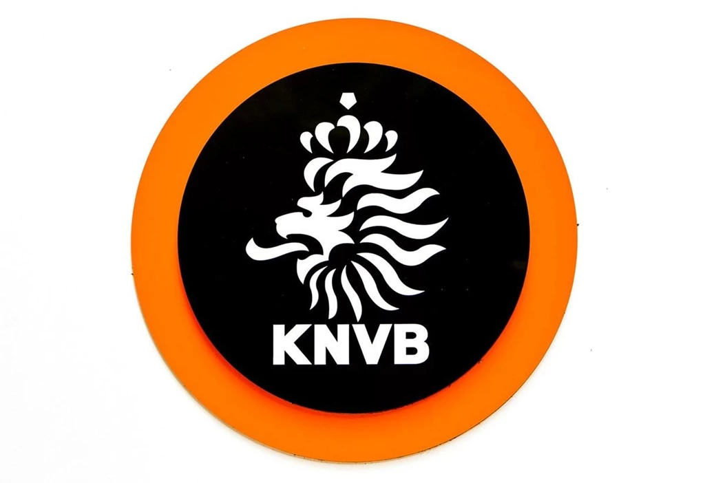 Info 119 Nike Netherlands 2014 Stadium Men's Soccer Shirt