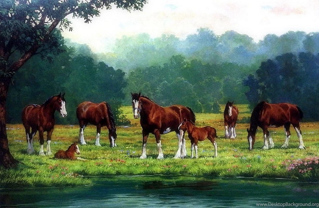 Horses: Clydesdale Horses Fields Relationships Grass Strong Water ...