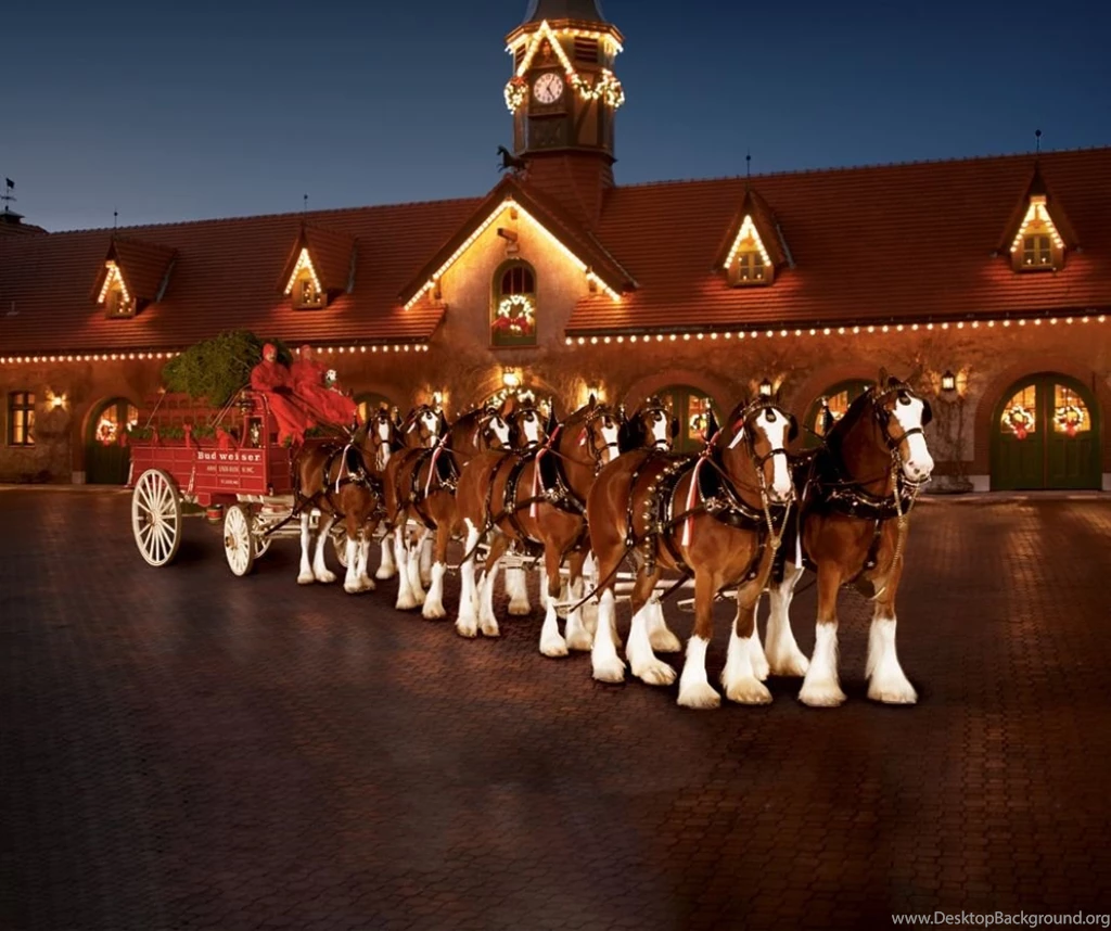 Horses: Christmas Clydesdales Horses Budweiser Hi ...
