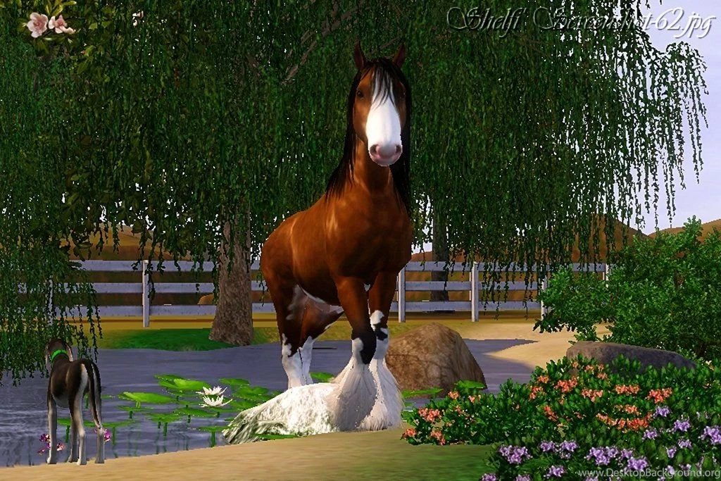 The Sims 3 Horses. By Shelfi On DeviantArt