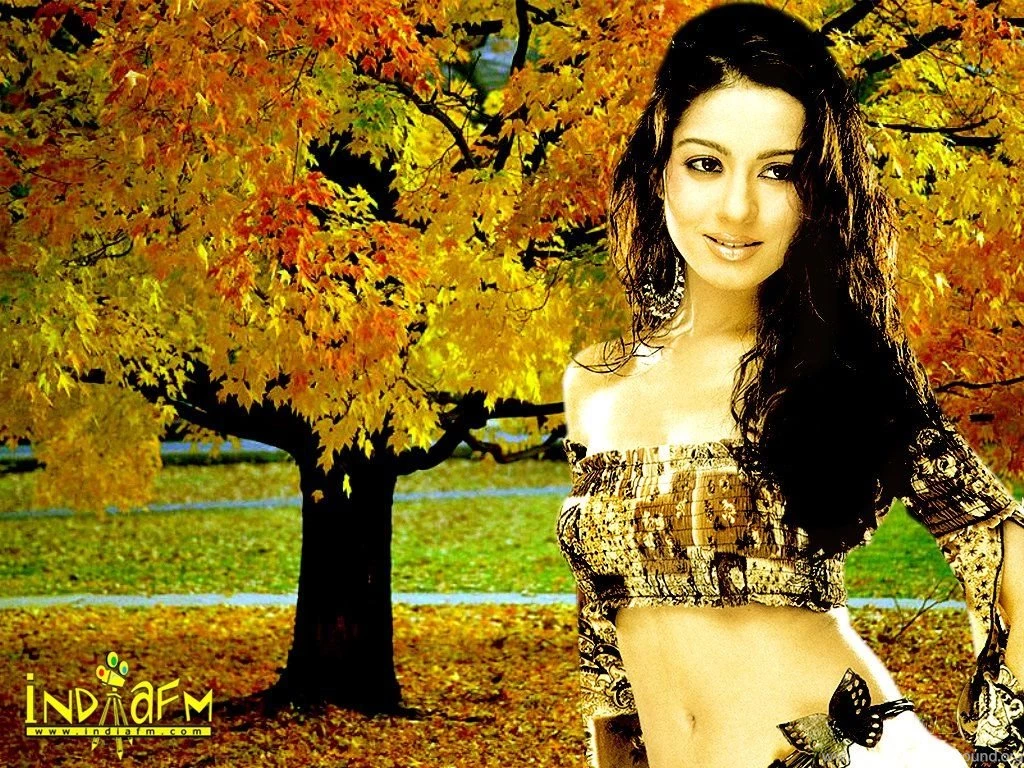 Amrita Rao Wallpapers