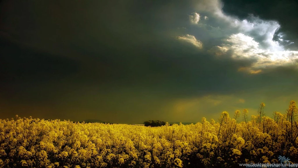 Amazing Dark Nature Wallpapers