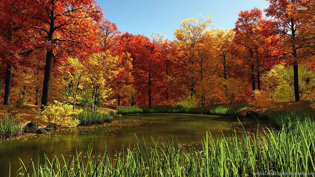 River During Fall Wallpapers Nature Wallpapers