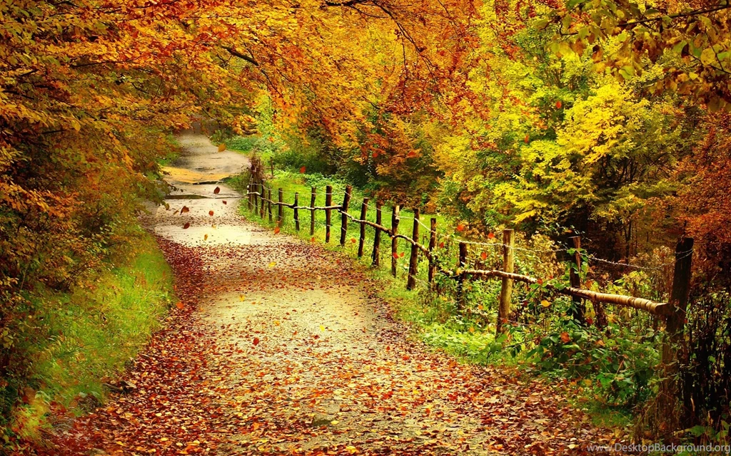 Gallery For Autumn Scene Desktop Wallpapers