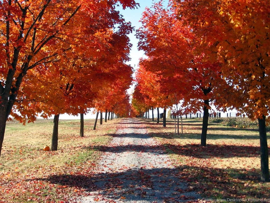 Fall Nature Pictures In High Definition Id: 1920   7HDWallpapers