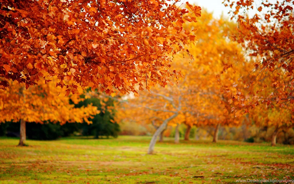 Wallpapers Nature Full Size Desktop 2015 Wallpapers Cave