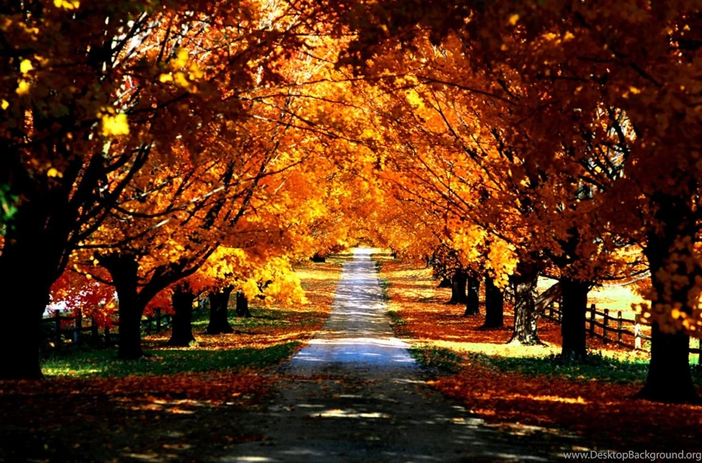 Fall nature wallpapers high resolution fall nature wallpapers high resolution amazing wallpapers.jpg
