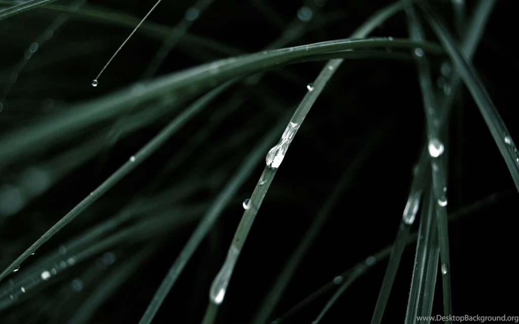 Theme Bin» Blog Archive » Gaia Dew HD Wallpapers