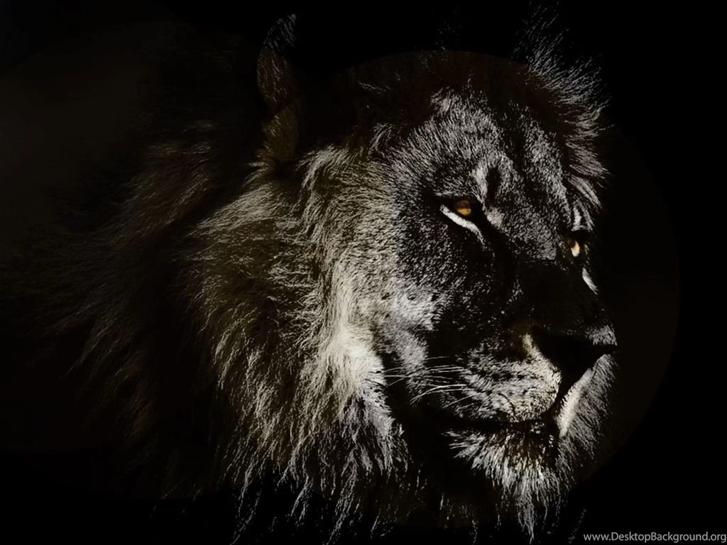 Wallpapers Thrasher Magazine Best Every City State ...