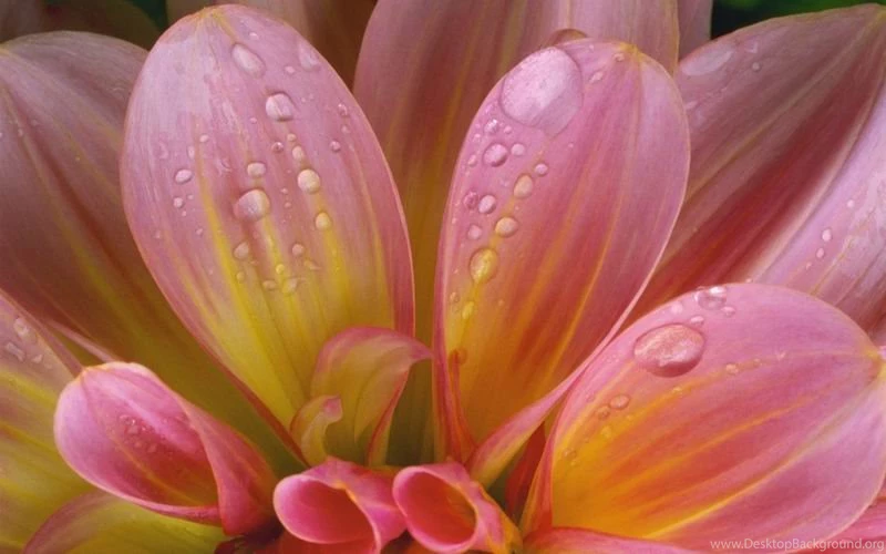 Win 7 Original Wallpapers Pack By Awaisagha On DeviantArt