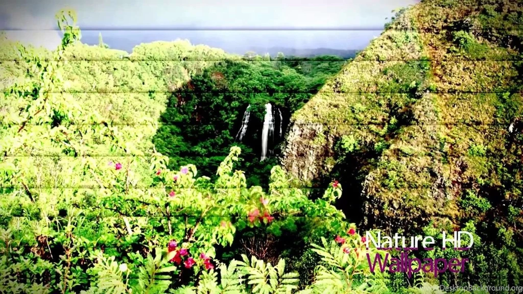 Wide Wallpapers   Nature. Free Download.   Video Dailymotion