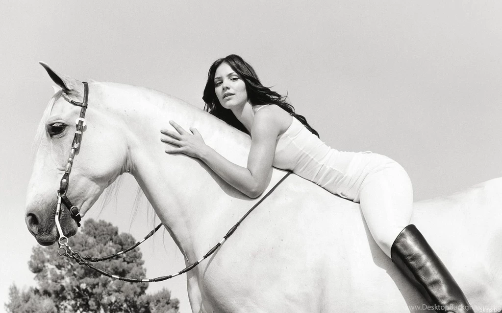 Horse Wallpapers   Katharine McPhee   White Horse Wallpapers   HD ...
