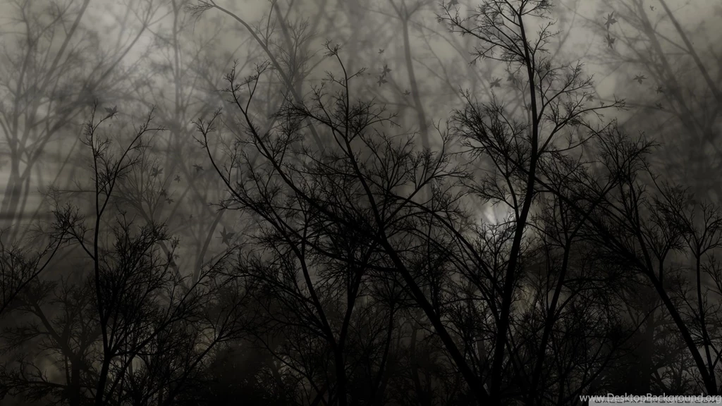 Download Dark Forest 4 Wallpapers 1920x1080