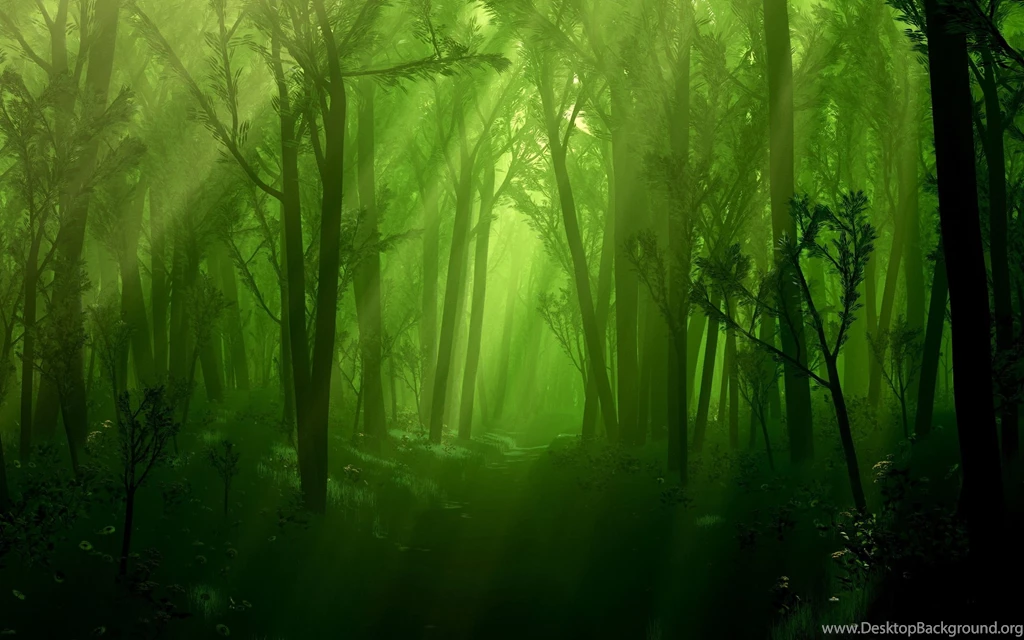Pictures > Enchanted Forest Wallpapers
