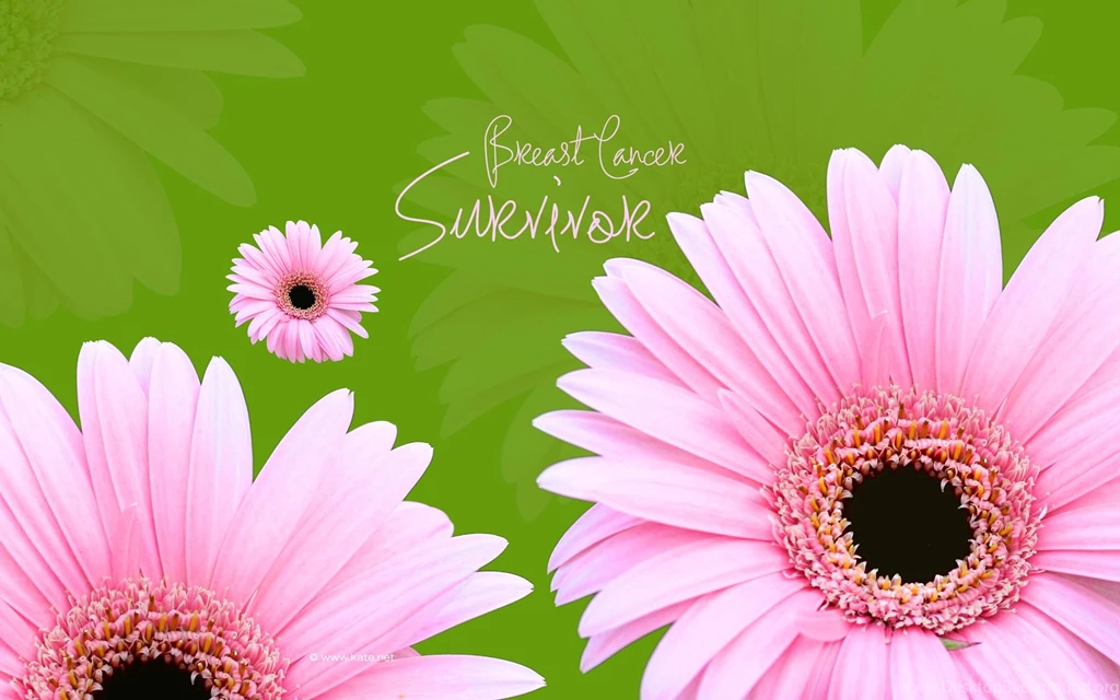 Breast Cancer Awareness Wallpapers By Kate.net