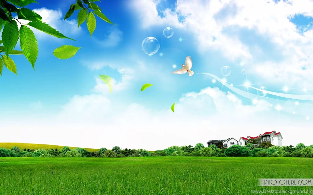 Lateset toshiba high quality wallpaper.jpg