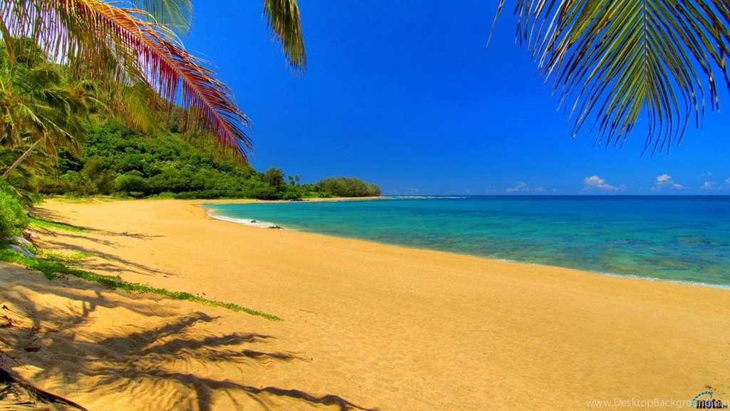 Beach Shade Hawaii Hd