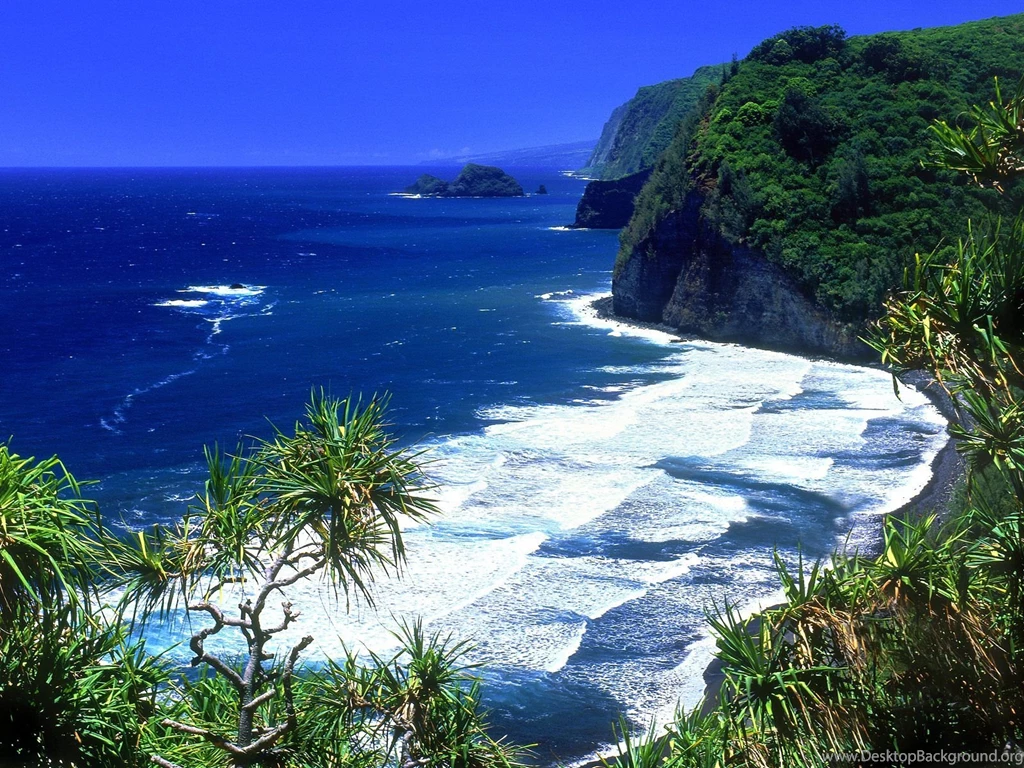 Hawaii Beach Wallpapers 42100