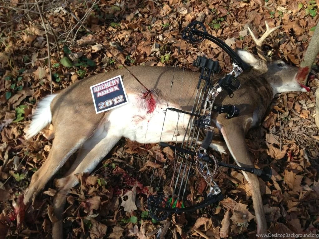 Official ADDIX Deer Hunting Contest Scoring Thread 2012 2013 Page 8