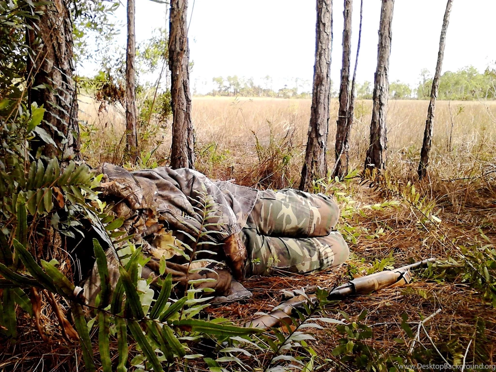 Turkey Hunting Wallpapers Deer, Cheap Wild Boar Hunts