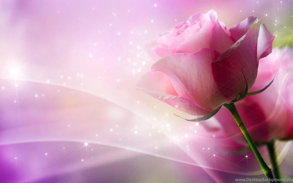 GLITTERING PINK ROSE WALLPAPER (