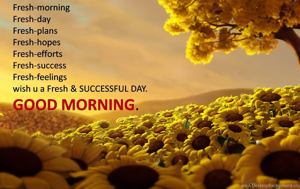 Good morning nice quotes hd wallpapers