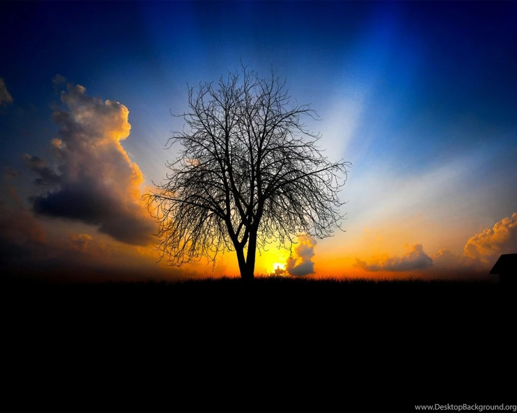 1600x1280px Good Wallpapers Free Download