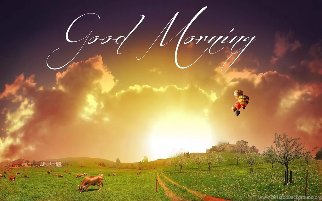 Good Morning Wallpapers HD Pictures