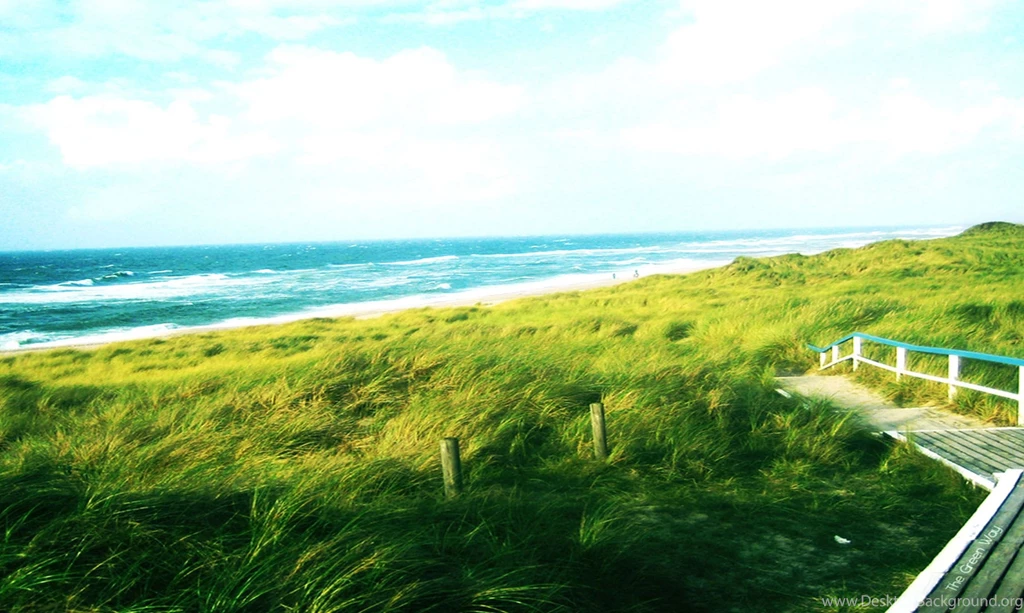 Hd Desktop Images, Natural, Green, Windows Wallpaper, Mac Desktop ...