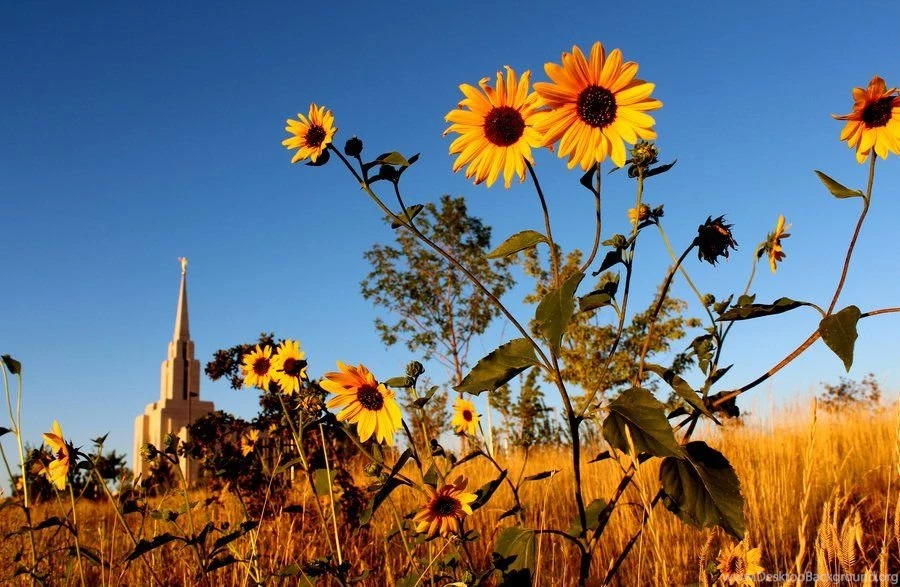 Salt Lake Temple By Montgomeryq On DeviantArt