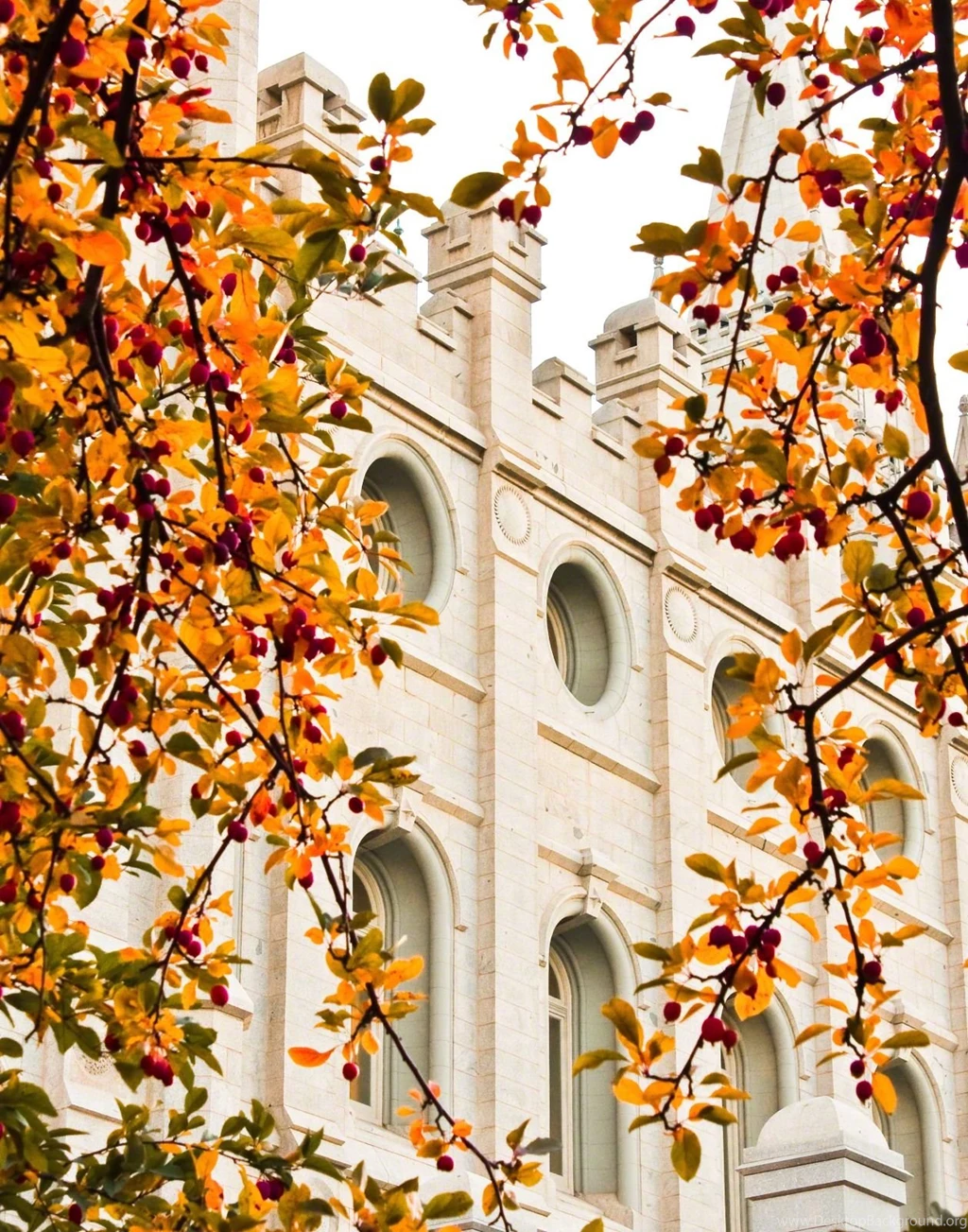 Salt Lake Temple In The Fall