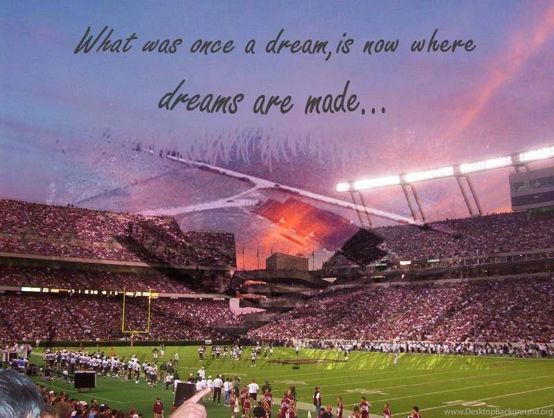 Gamecock Football Wallpapers CockyTalk