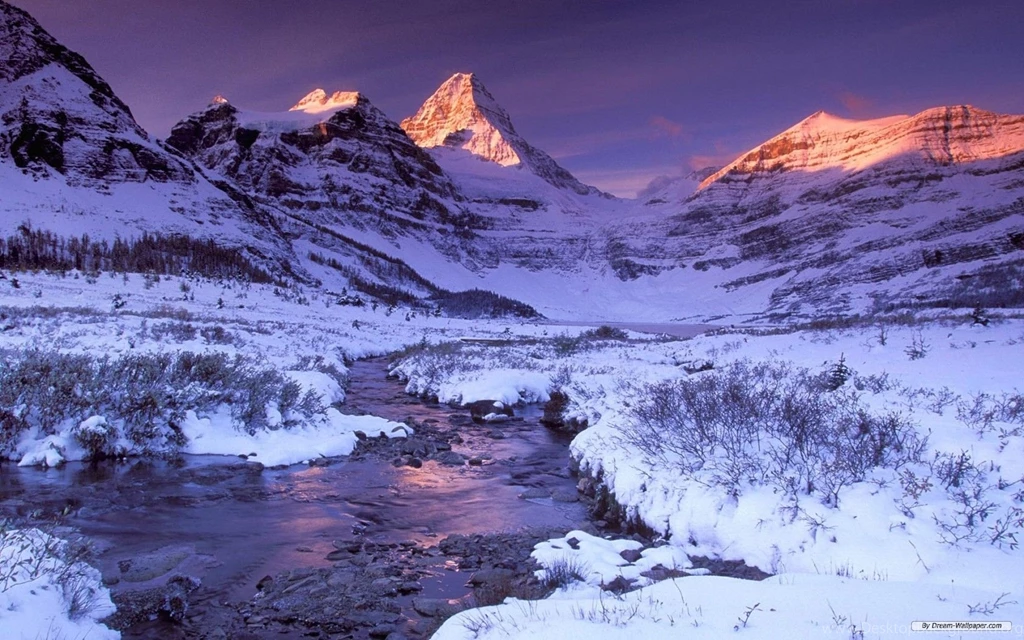 Winter Wonderland HD Wallpapers And Pictures, New Wallpapers