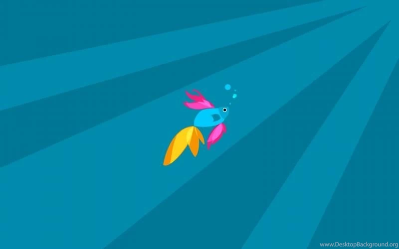 Windows 8.1 Beta Fish Wallpaper,tech HD Wallpaper,hi Tech HD ...