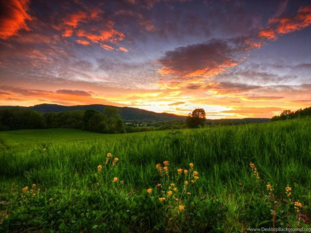 Beauty Italy – BUZZERG