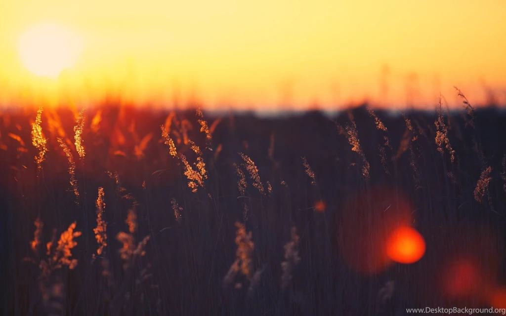 Sunset Landscapes Nature Summer (season) Wallpapers