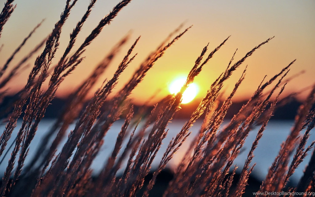 2560x1600 Summer Sunset By The Lake Desktop PC And Mac Wallpapers