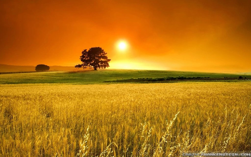 Summer Landscape Wallpapers 2   Crazy Frankenstein