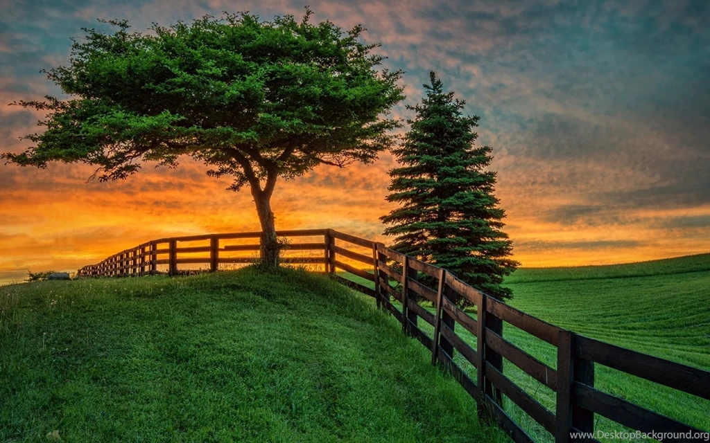 Summer Sunset Wallpapers HD In Fence Grass Field