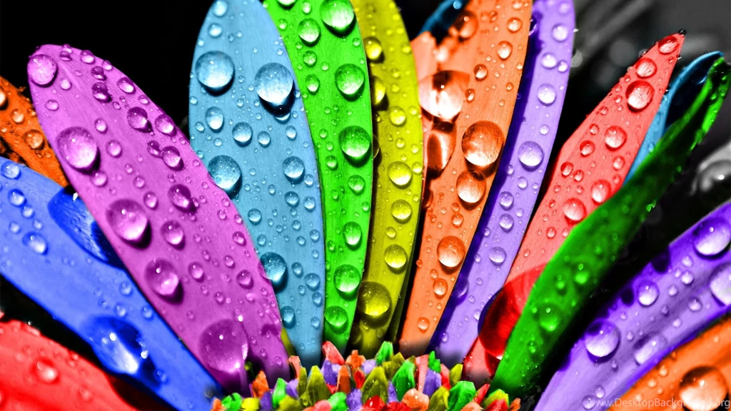 Beautiful Backgrounds HD Magic4Walls.com