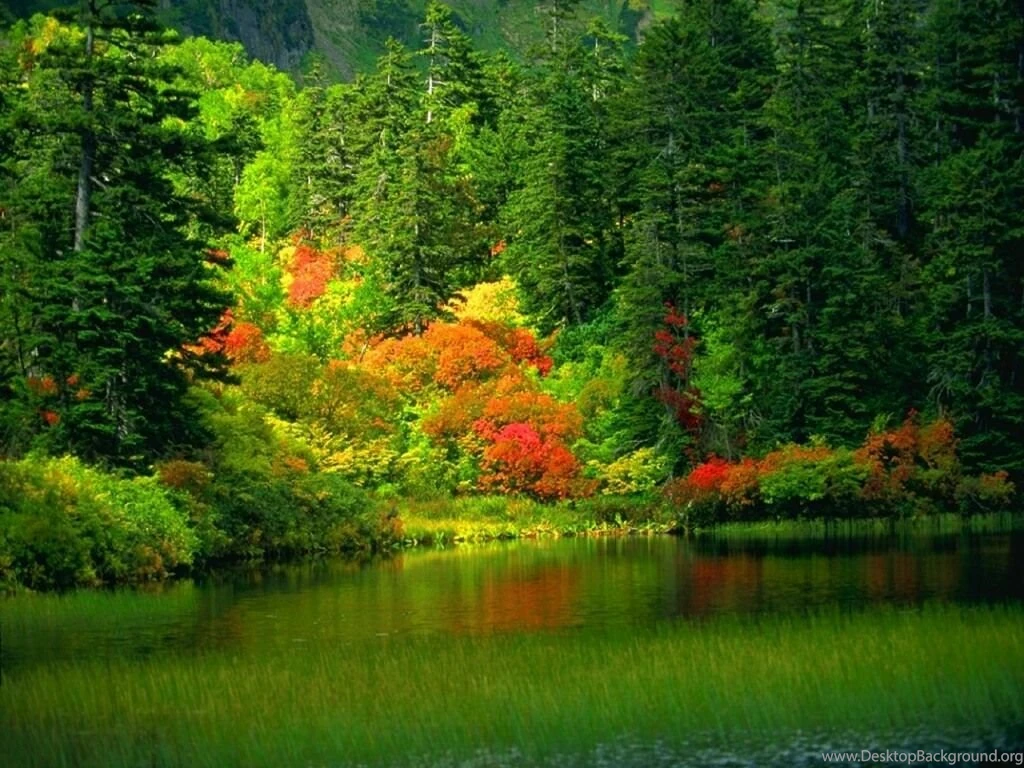 Beautiful Nature Wallpapers   25 Photos