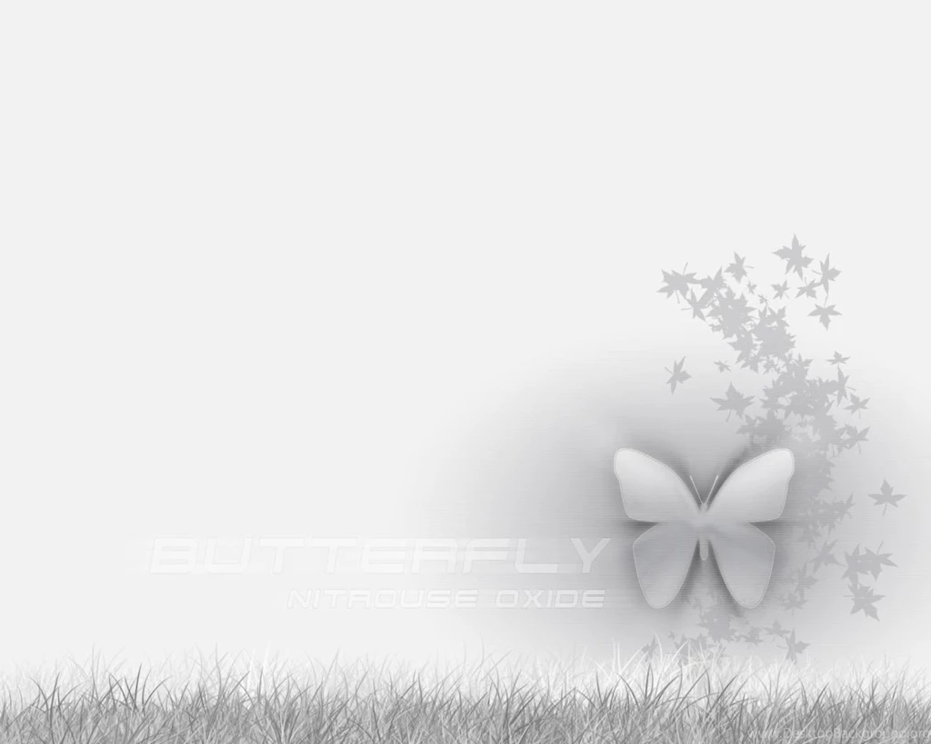 Silver Butterfly Wallpapers   Wallpapers HD Fine
